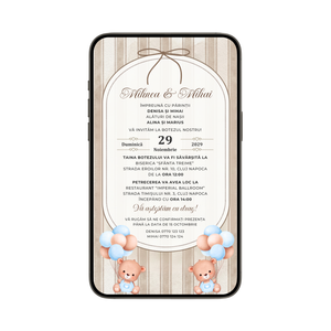 Invitatie Botez Gemeni Baieti, Retro Balloon Bouquet, Format Digital-BalloonEvents.ro