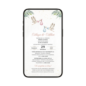 Invitatie Botez Gemeni Baietel Si Fetita, Fly With Me, Format Digital-BalloonEvents.ro
