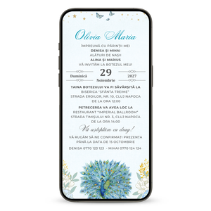 Invitatie Botez Abstract Baby, Format Digital-BalloonEvents.ro