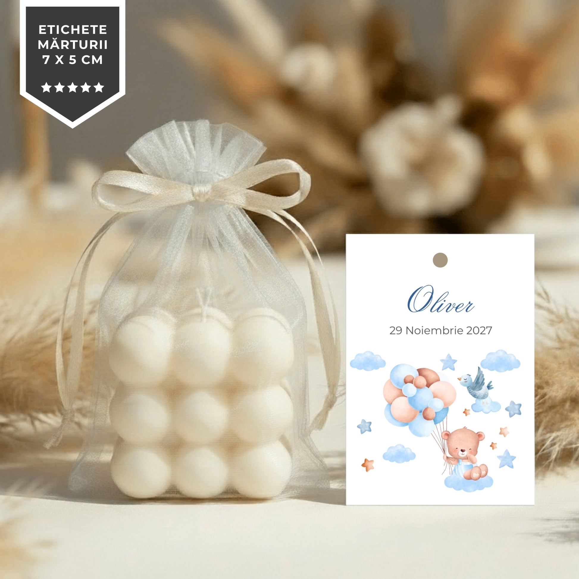 Invitatie Botez Balloon Bouquet Boy, Format Digital-BalloonEvents.ro