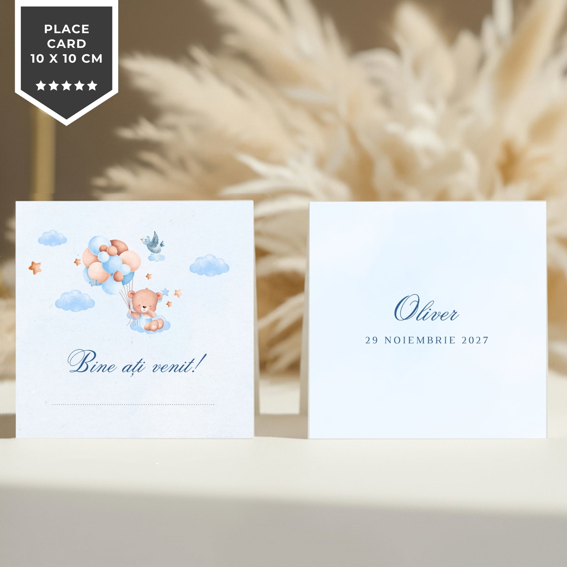 Invitatie Botez Balloon Bouquet Boy, Format Digital-BalloonEvents.ro