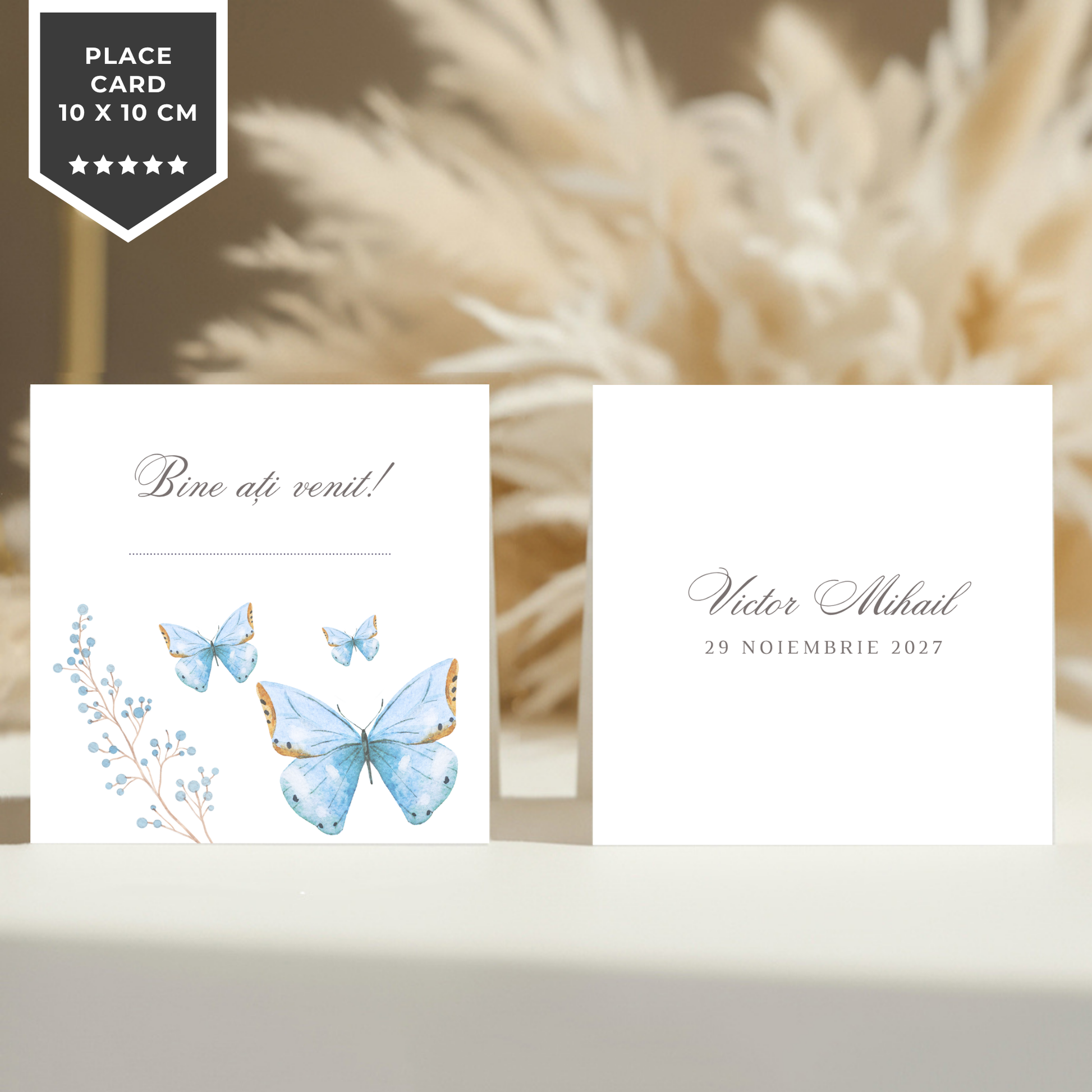 Invitatie Botez Butterfly Boy, Format Digital-BalloonEvents.ro