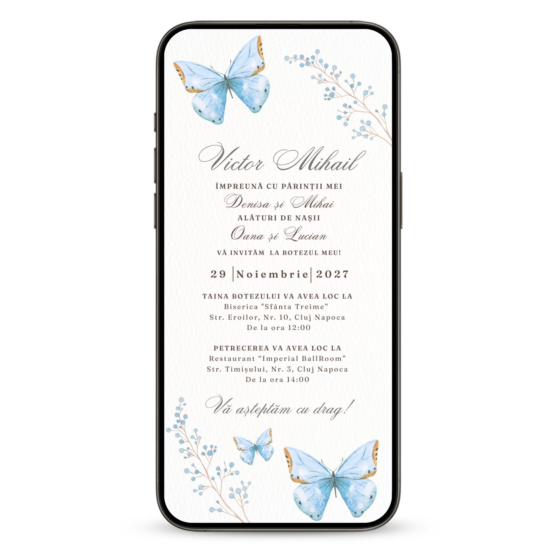 Invitatie Botez Butterfly Boy, Format Digital-BalloonEvents.ro