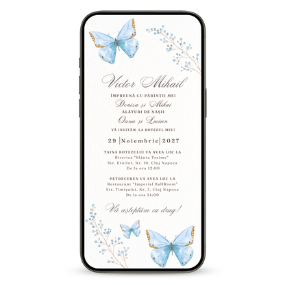 Invitatie Botez Butterfly Boy, Format Digital-BalloonEvents.ro