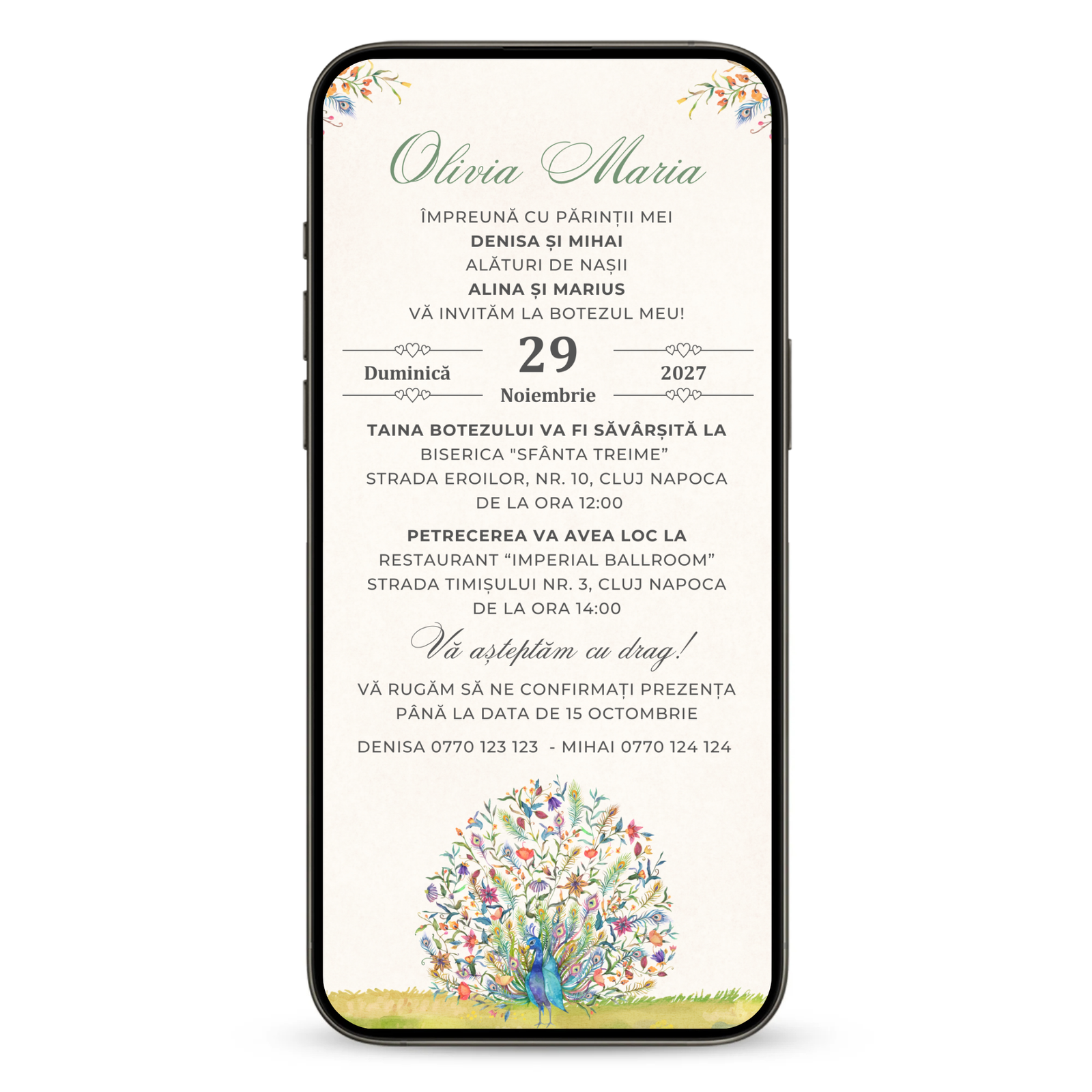 Invitatie Botez Color Harmony, Format Digital-BalloonEvents.ro