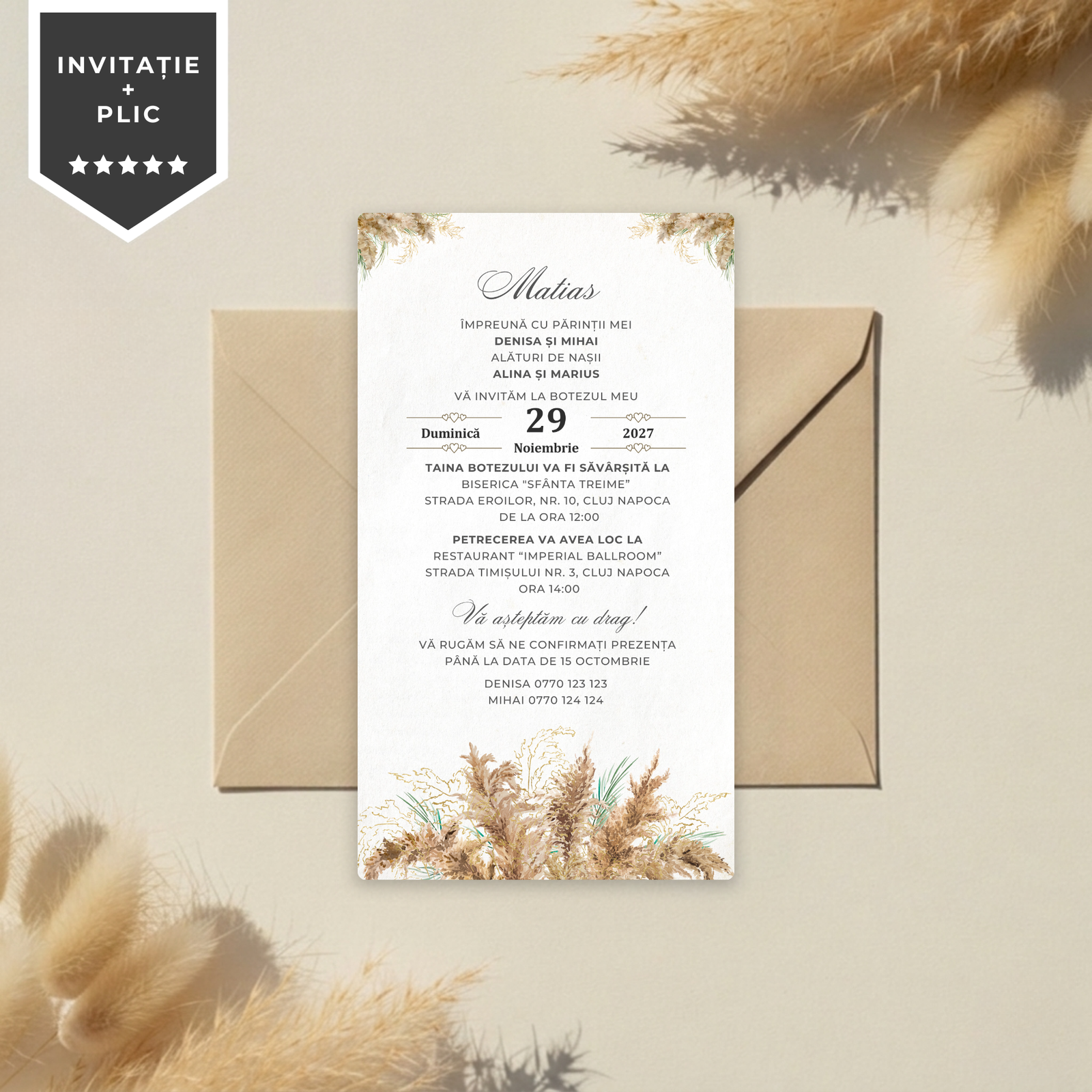Invitatie Botez Elegant Pampas, Format Digital-BalloonEvents.ro