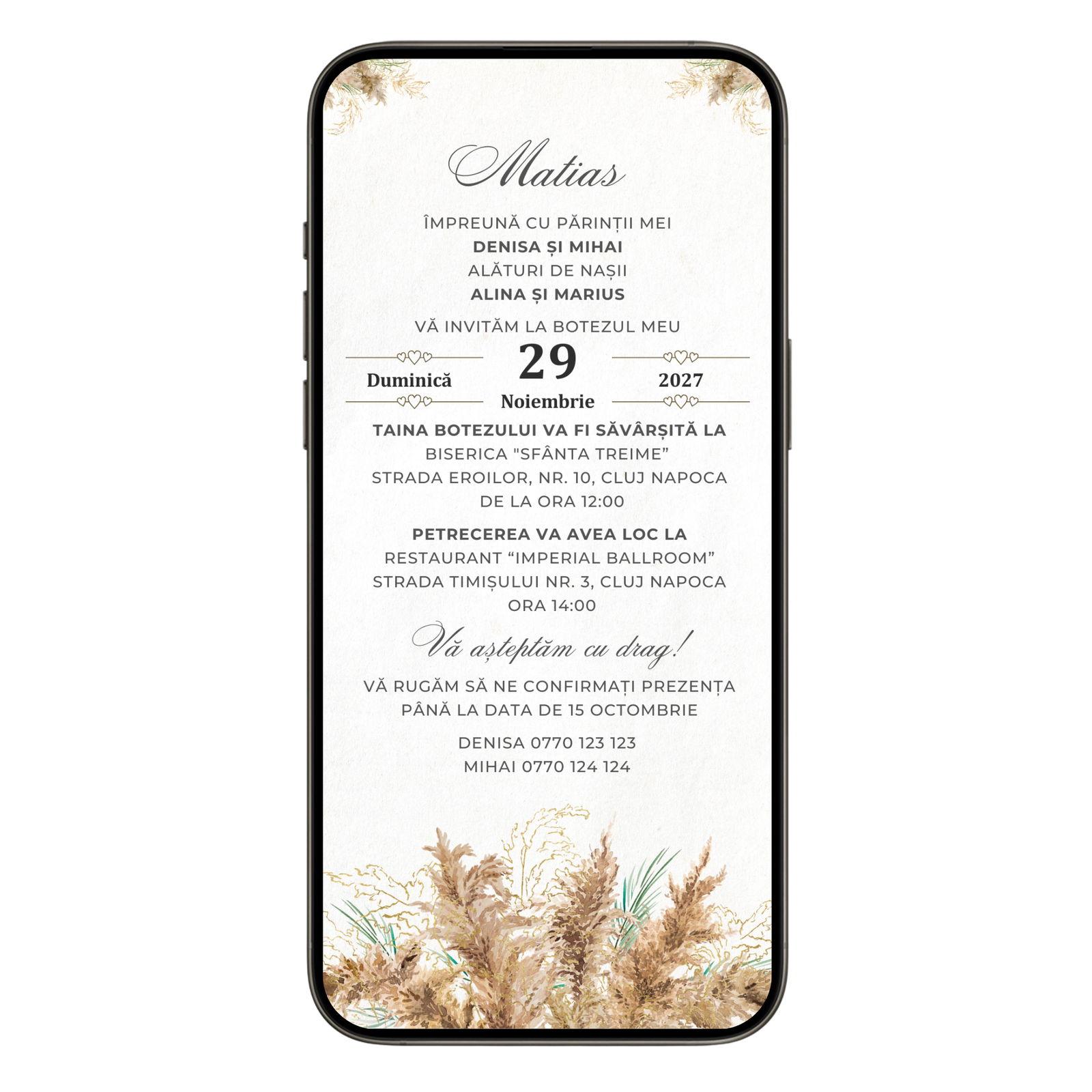 Invitatie Botez Elegant Pampas, Format Digital-BalloonEvents.ro