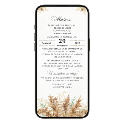 Invitatie Botez Elegant Pampas, Format Digital-BalloonEvents.ro
