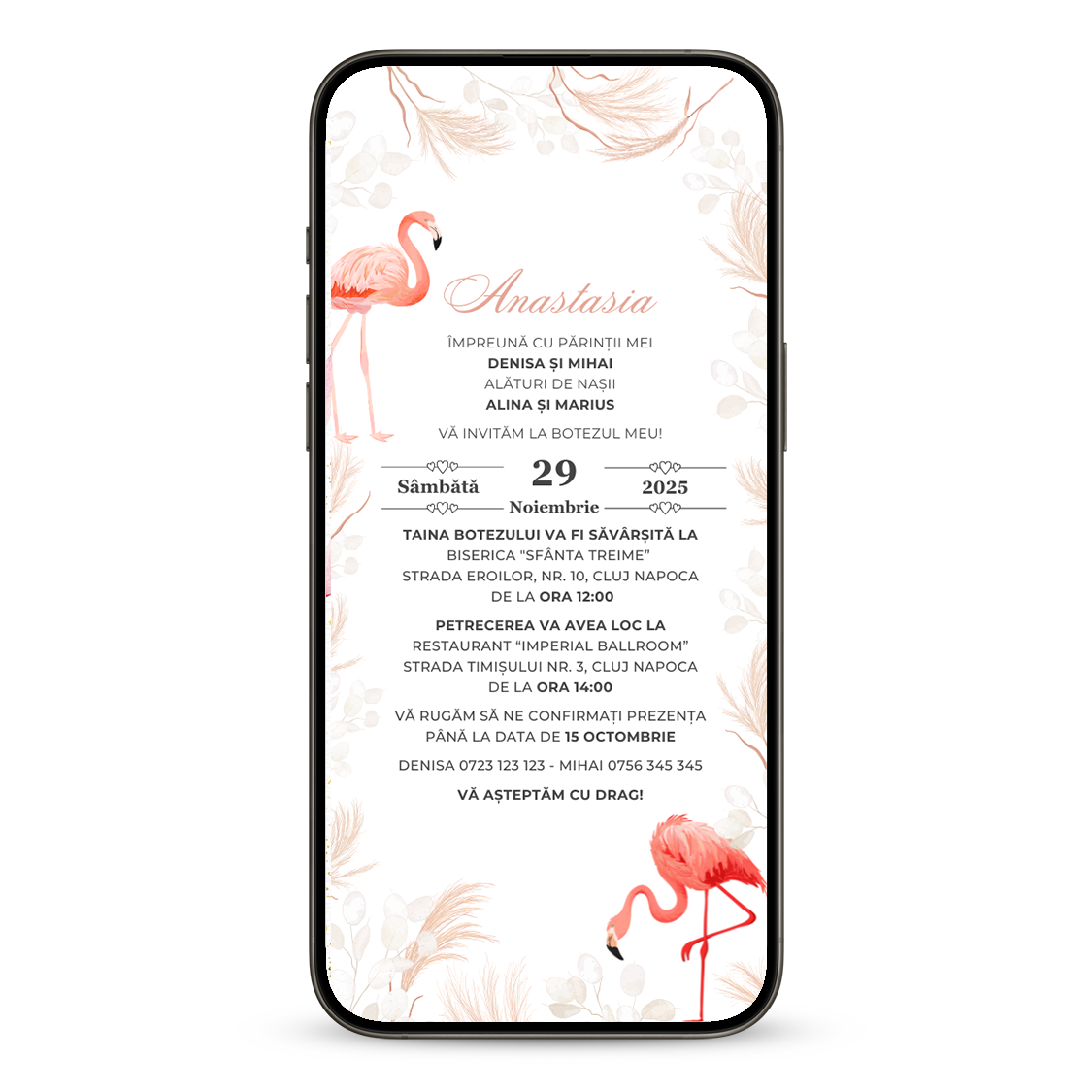 Invitatie Botez Flamingo, Format Digital-BalloonEvents.ro