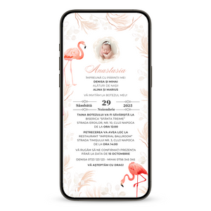 Invitatie Botez Flamingo, Format Digital-BalloonEvents.ro