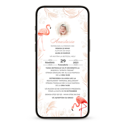 Invitatie Botez Flamingo, Format Digital-BalloonEvents.ro