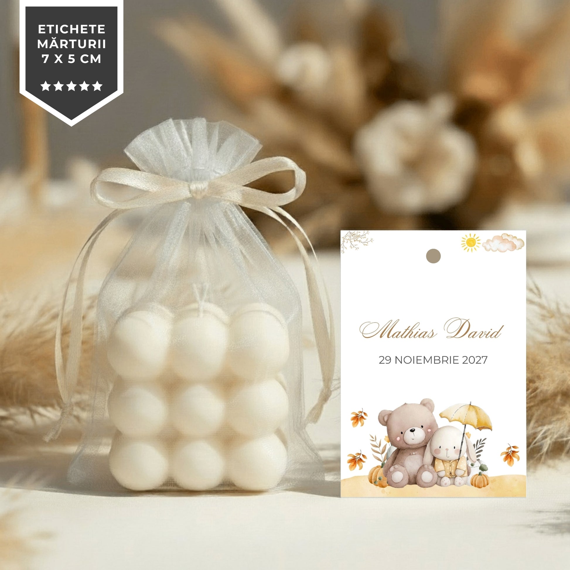 Invitatie Botez Forever Friends, Format Digital-BalloonEvents.ro