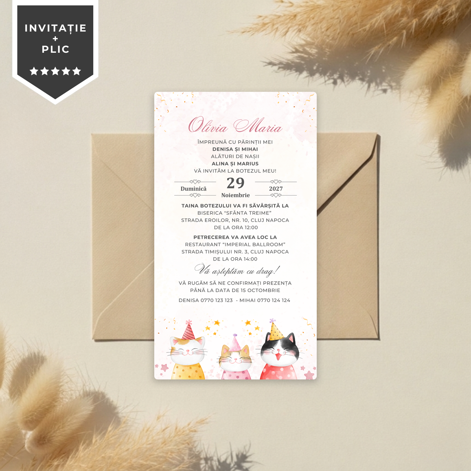 Invitatie Botez Kitty Princess, Format Digital-BalloonEvents.ro