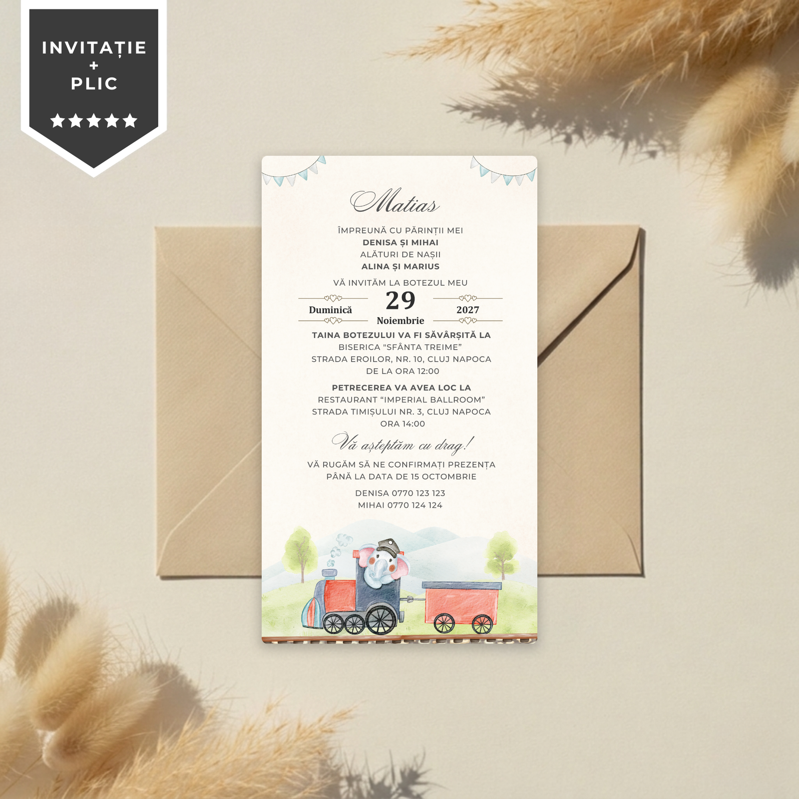 Invitatie Botez Little Elephant Boy, Format Digital-BalloonEvents.ro