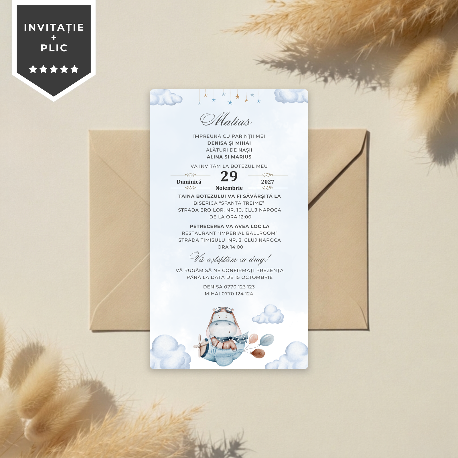 Invitatie Botez Little Hipo, Format Digital-BalloonEvents.ro