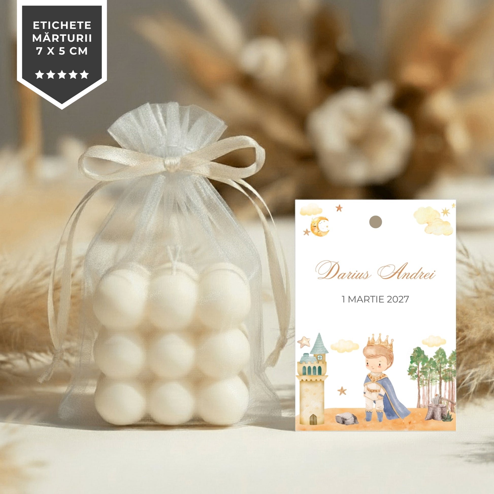 Invitatie Botez Little Prince Castle, Format Digital-BalloonEvents.ro