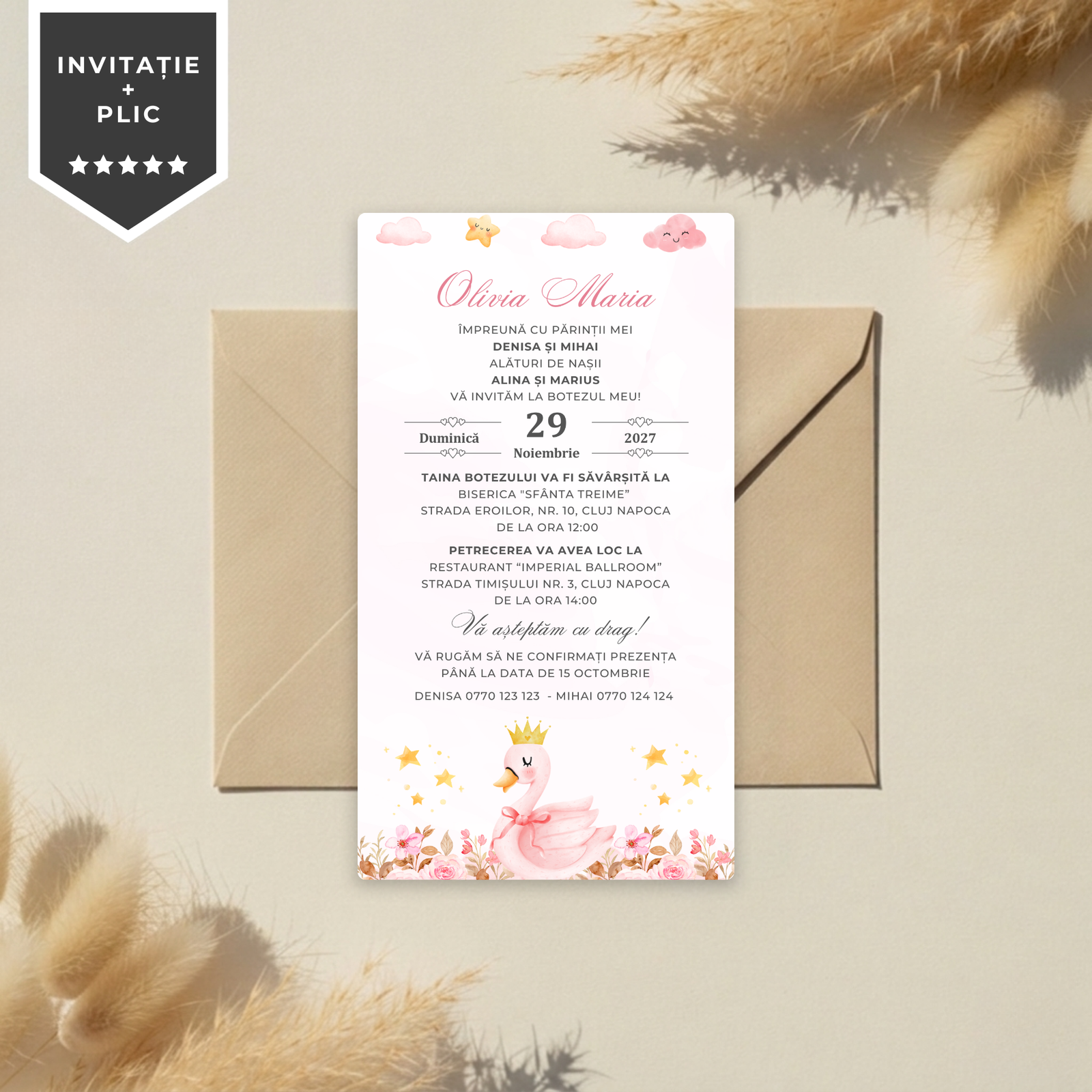 Invitatie Botez Little Swan Princess, Format Digital-BalloonEvents.ro