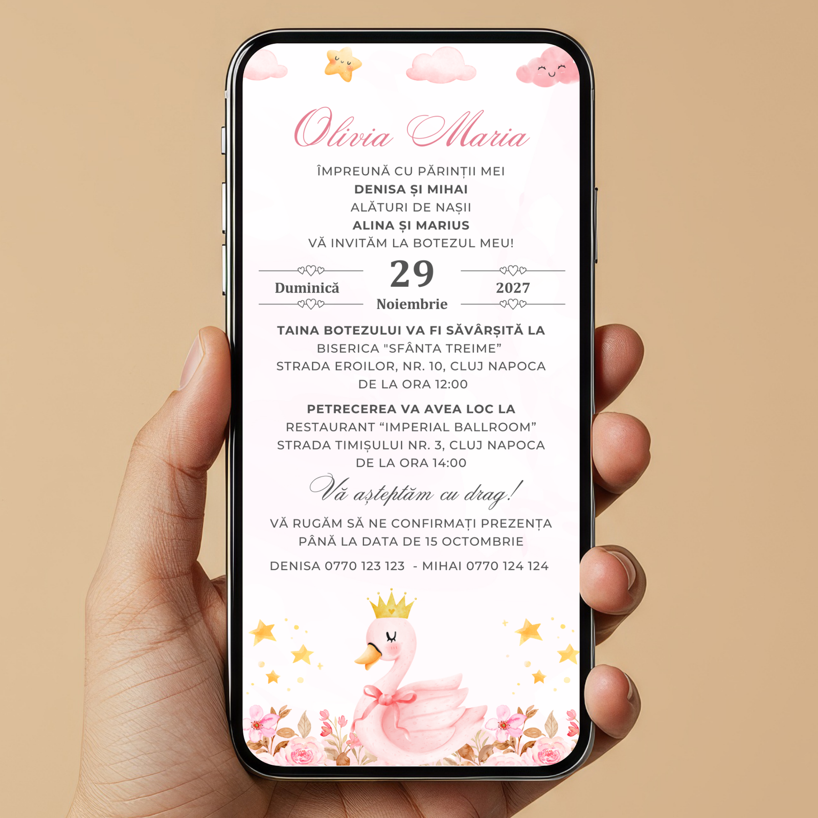 Invitatie Botez Little Swan Princess, Format Digital-BalloonEvents.ro