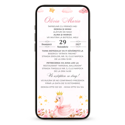 Invitatie Botez Little Swan Princess, Format Digital-BalloonEvents.ro