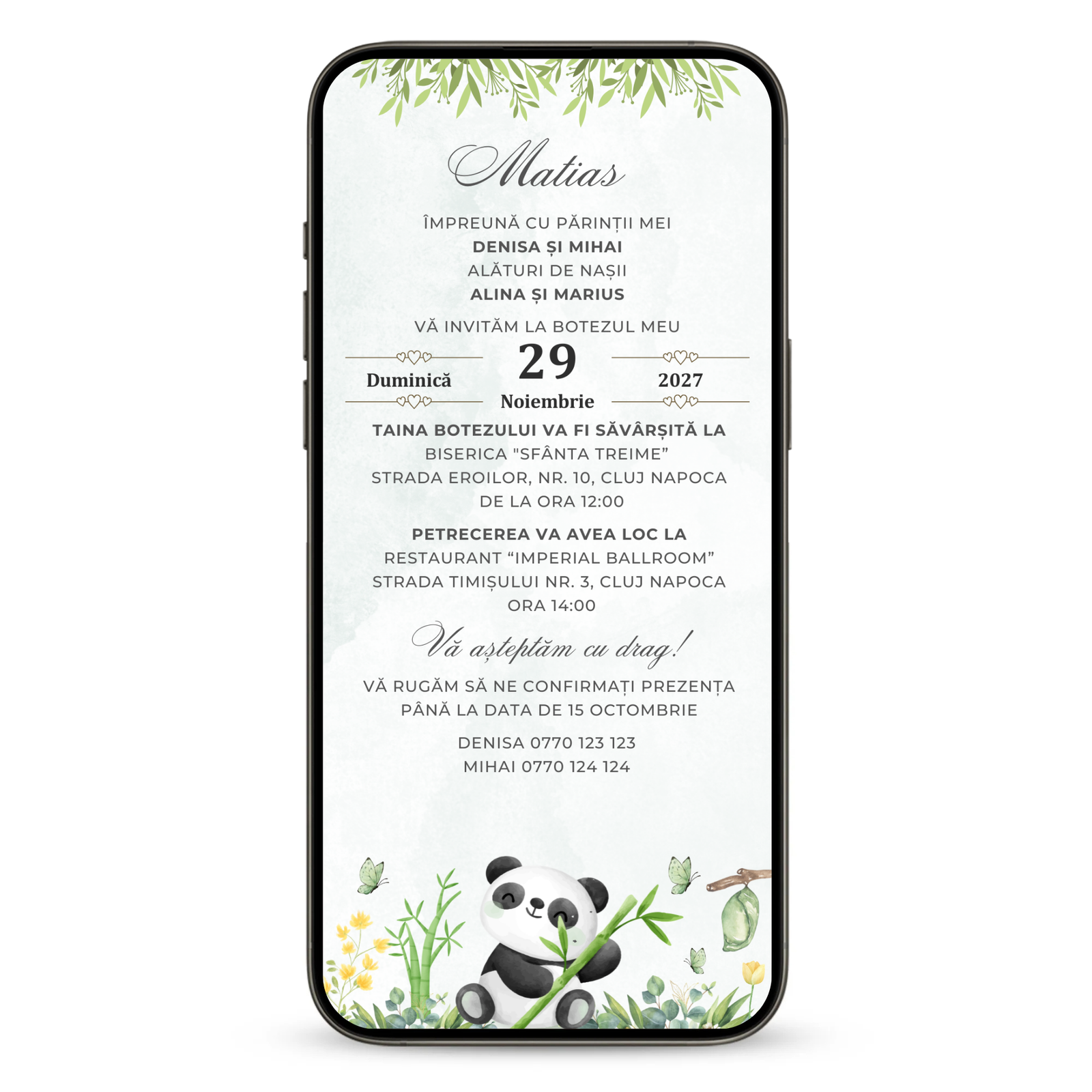 Invitatie Botez Lovely Panda Boy, Format Digital-BalloonEvents.ro