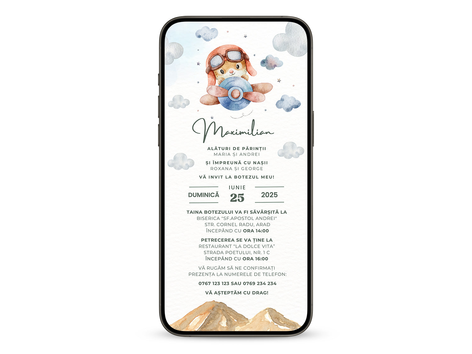 Invitatie Botez Micutul Aviator, Format Digital