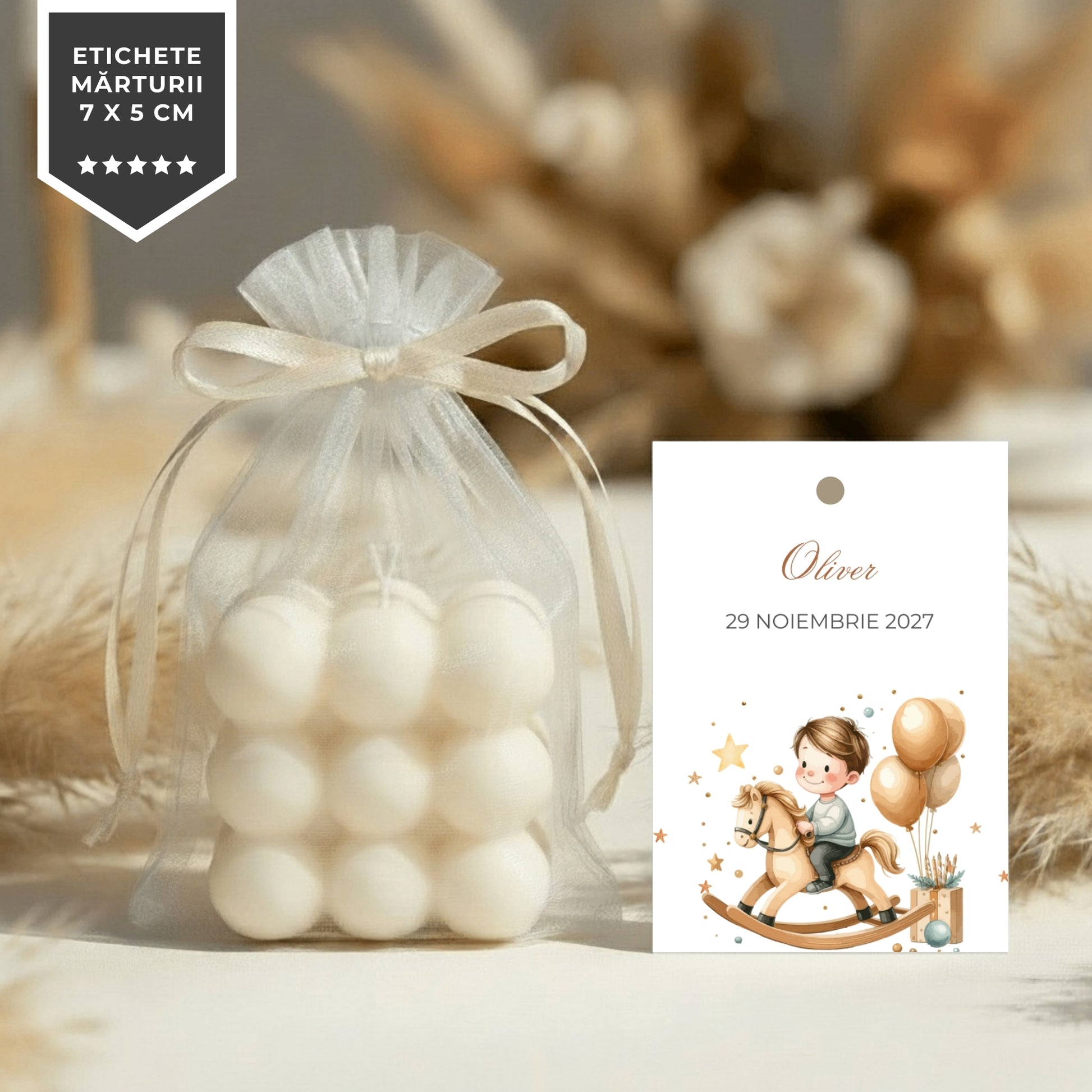 Invitatie Botez My Prince, Format Digital-BalloonEvents.ro