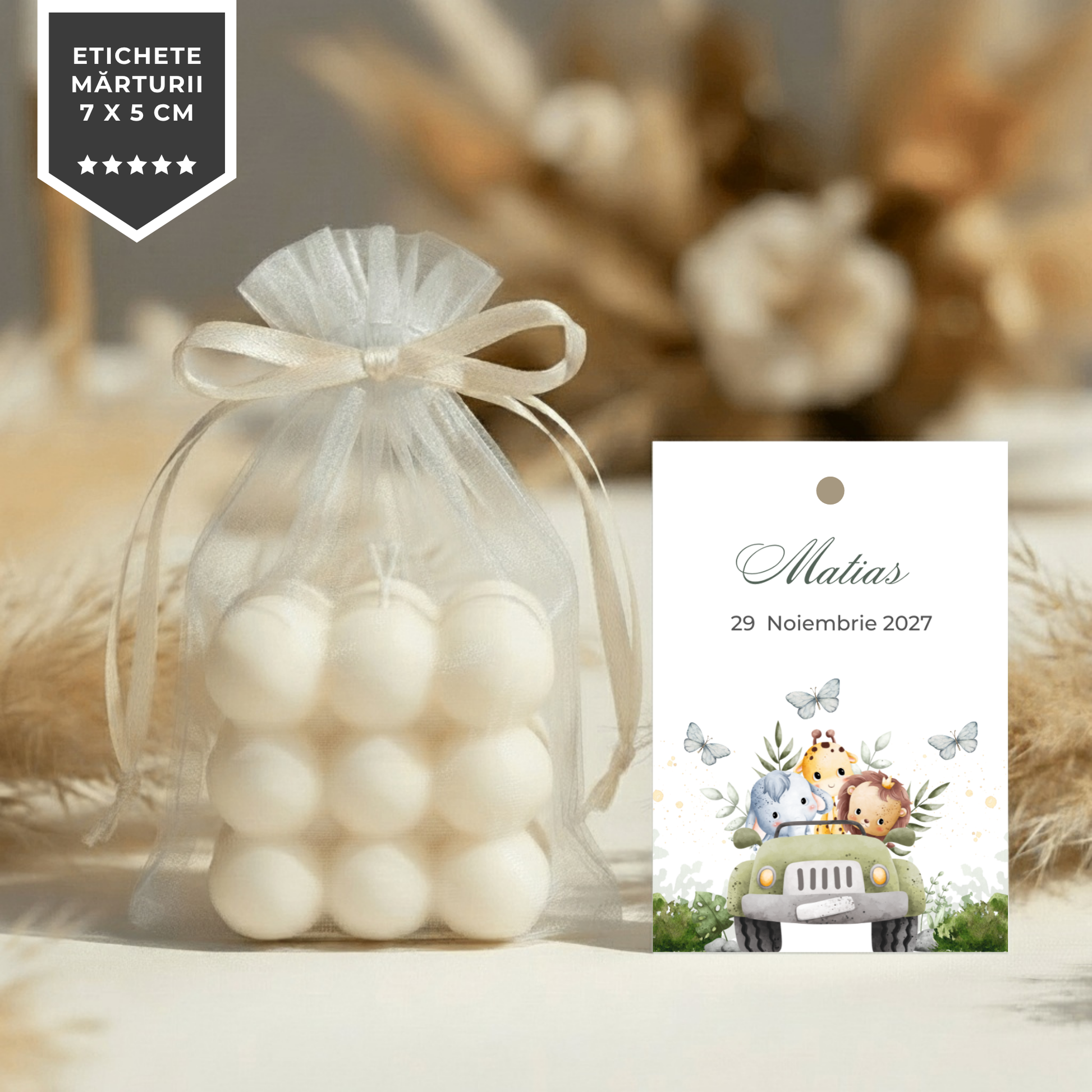 Invitatie Botez Safari, Format Digital-BalloonEvents.ro