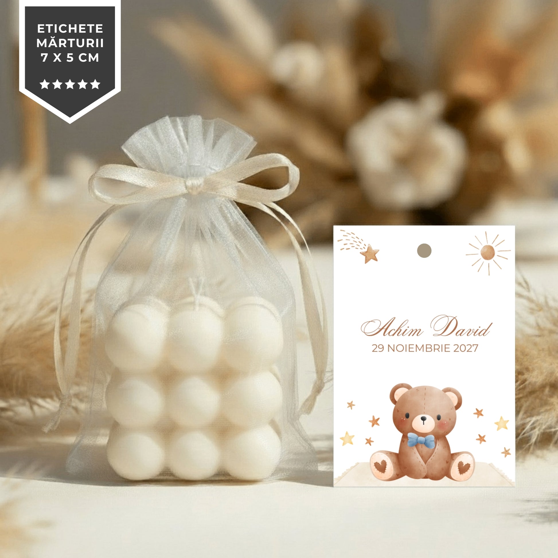 Invitatie Botez Ursuletul Martinel, Format Digital-BalloonEvents.ro