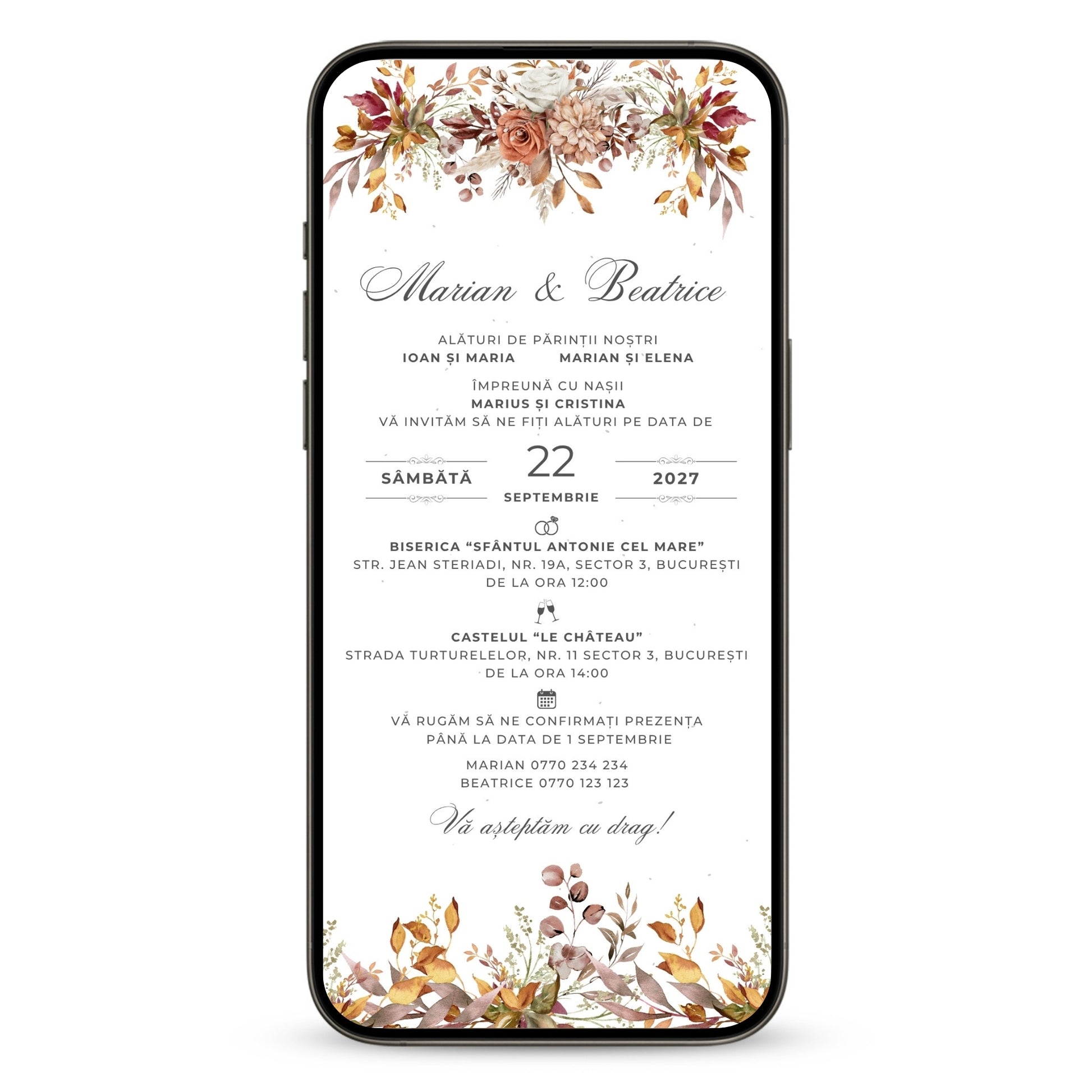 Invitatie Nunta Big Celebration, Format Digital-BalloonEvents.ro