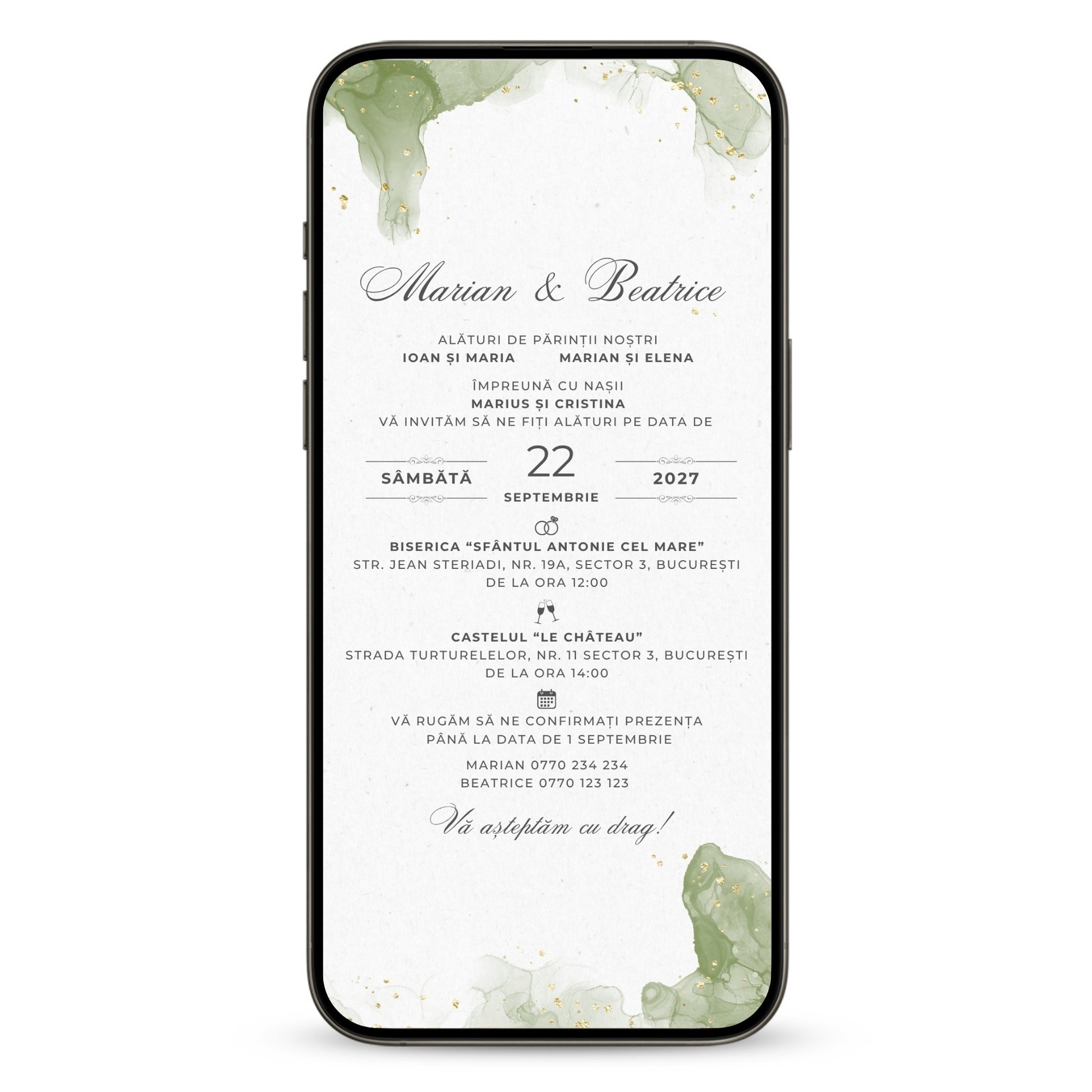 Invitatie Nunta Joyful Day, Format Digital-BalloonEvents.ro