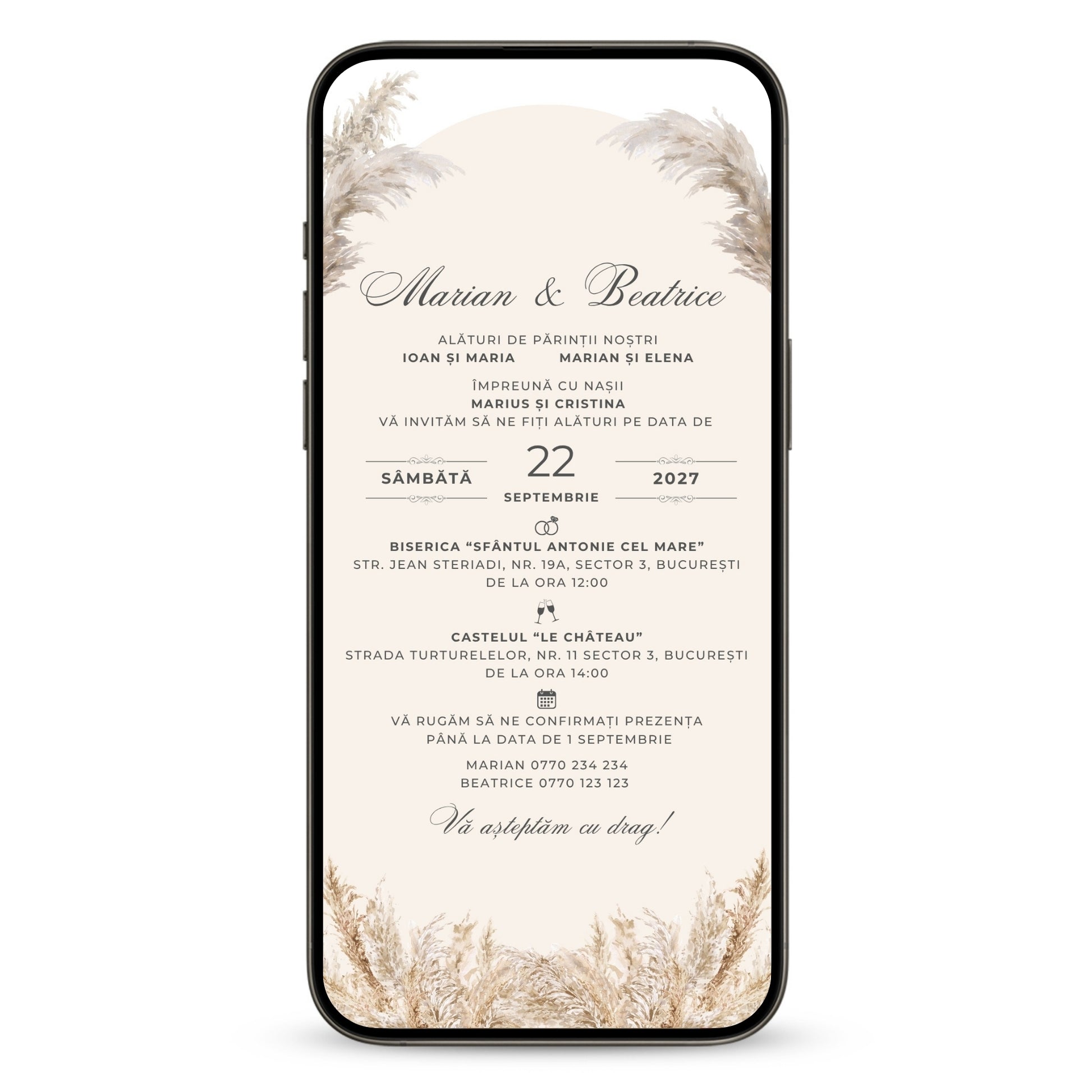 Invitatie Nunta Precious Day, Format Digital-BalloonEvents.ro