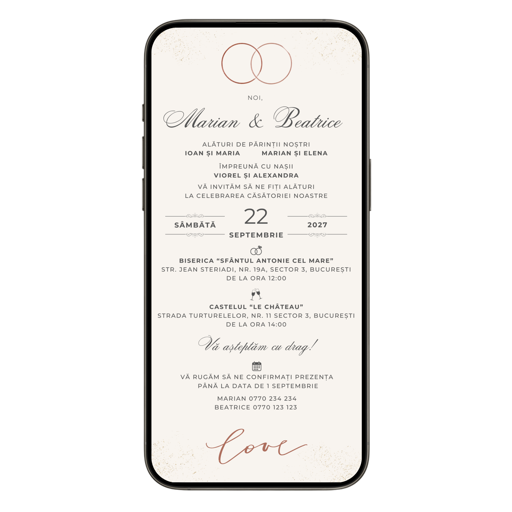 Invitatie Nunta Rings Minimalist, Format Digital