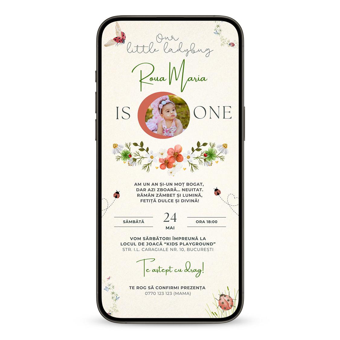 Invitatie Taierea Motului - Turta, Buburuze Vesele, Format Digital