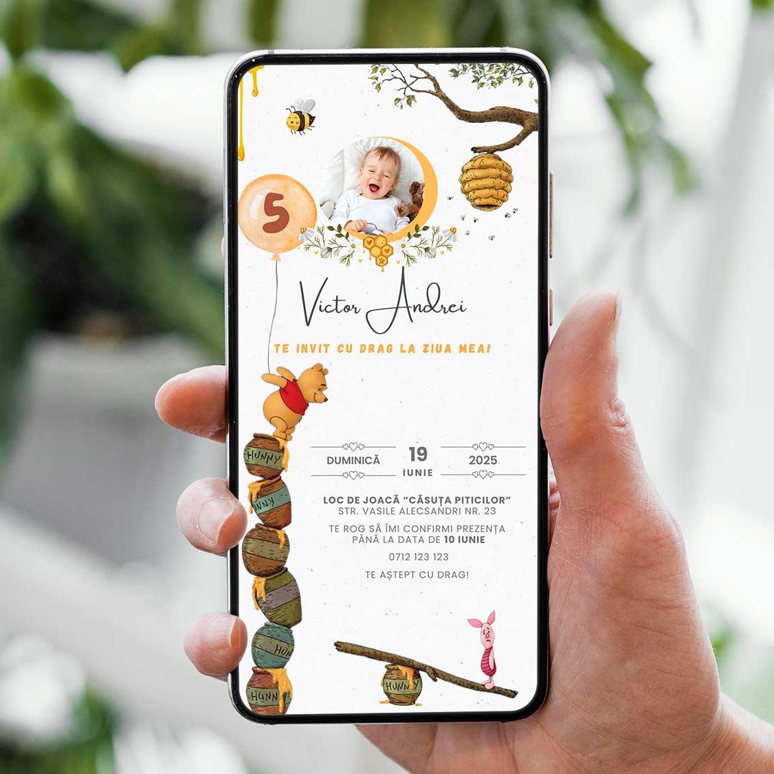 Invitatie Zi De Nastere Winnie, Format Digital