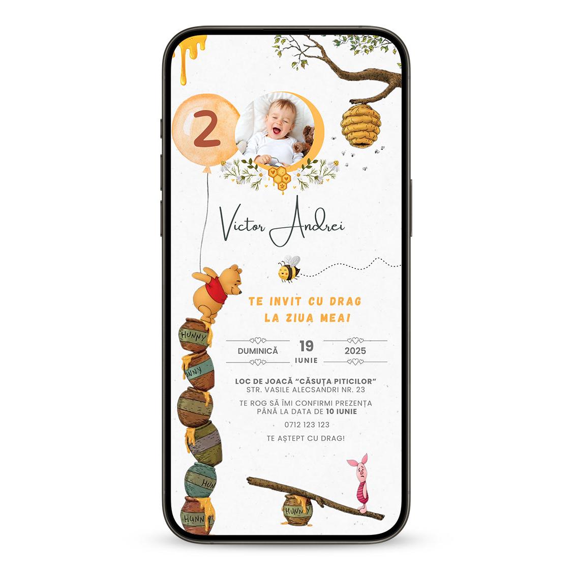 Invitatie Zi De Nastere Winnie, Format Digital-BalloonEvents.ro