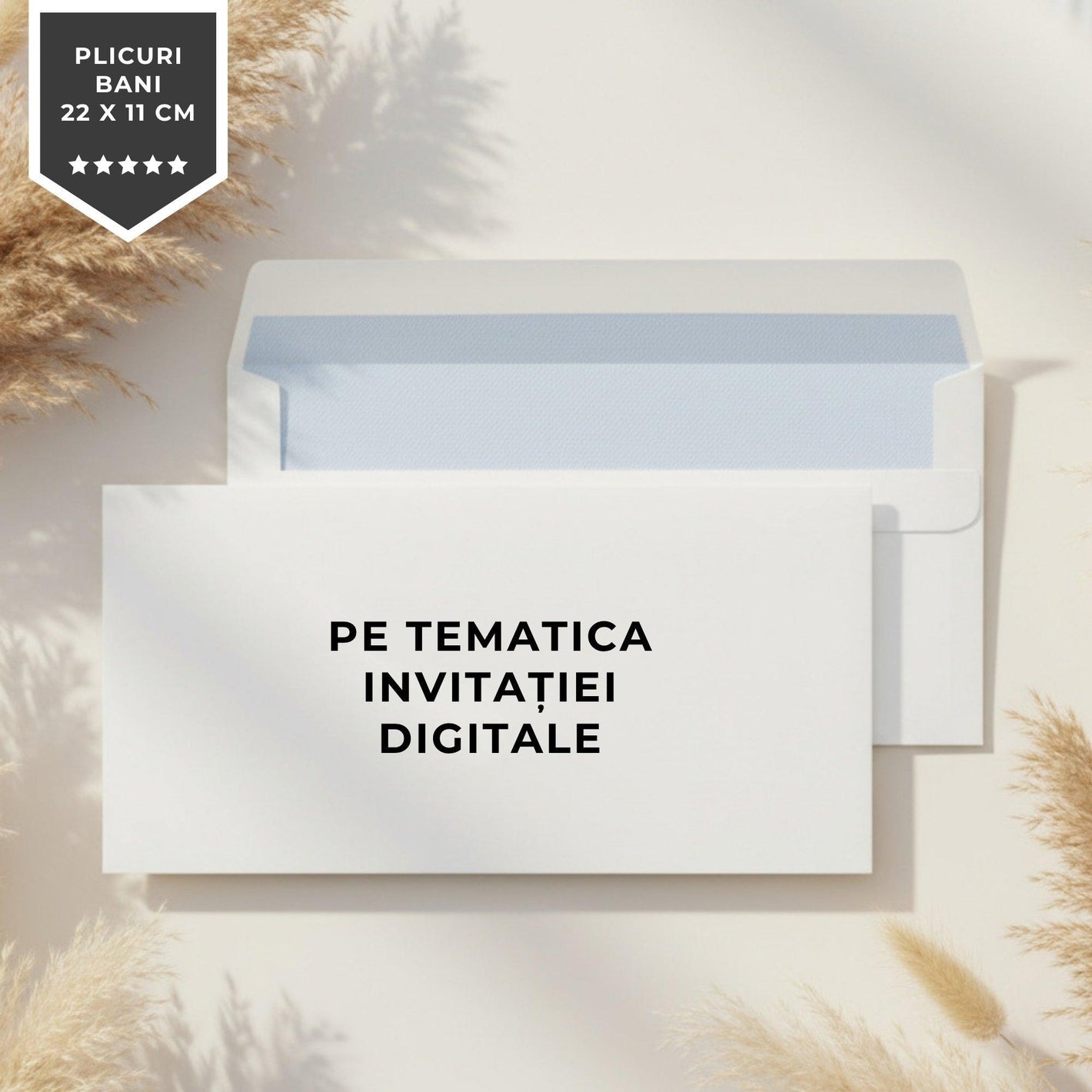 Plic Pentru Bani (print - minim 30 buc)-BalloonEvents.ro